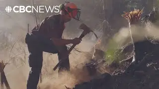 Tseshaht firefighter defends ancestral land from Mt. Underwood wildfire