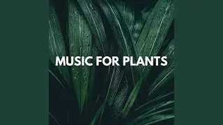 Whispers of Green