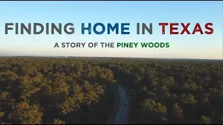 Finding Home in Texas: A Story of the Piney Woods