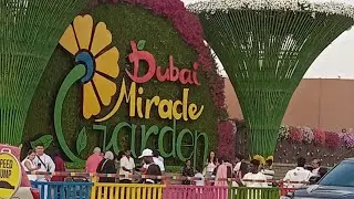 Exploring #DubaiMiracleGarden 