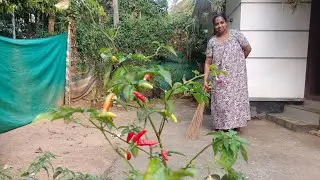 വയനാടൻ വീട്ടമ്മ |Day in my life | village Lifestyle