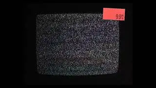 bargain bin dynasty-THE FUN POLICE (Harsh Noise Wall/Avant-Garde/Experimental/Drone)