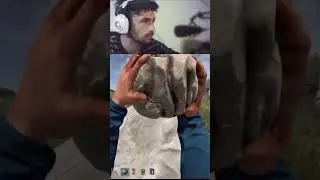 Killed a Wolf With a ROCK?! EPIC GAMING MOMENT! #shorts