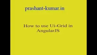 How to use angular ui grid?