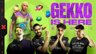 The GEKKO META? | VCT EMEA NEW META