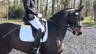 Camilla and Seven. Ad med 6 at pachesham 15/3/25