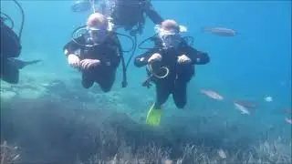 Sarigerme Diving School - Trial Diving for Kids/Schnuppertauchen incl. Pool , Speedboat, Diving Base