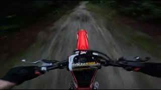 CRF 125F Pure Audio Ripping 4K