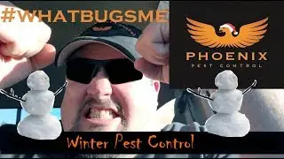 Winter Pest Control