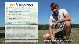 Top Maximus w GR Brandys