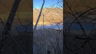 Hiking Down An Ozark Mountain In Winter #hiking #crunchingsounds #trekking #nature #shorts #asmr