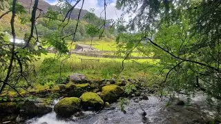 Where the River Slows 🏞️ | Neoclassical Piano for Work & Calm