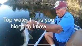 Top water tricks for Bass and Snook