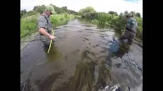 Silt pollution on the River Wensum in Norfolk