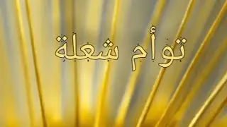 علاقة توأم الشعلة
