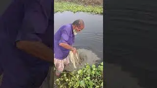 New Fishing Idea 40  #fishing #village #fish