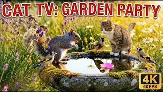 Cat TV for Cats to Watch 🦋 Butterflies & Goldfinches in Wildflower Garden - 8 Hours