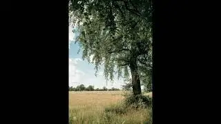 Andrzej Kwiatek - Jeszcze raz zatańcz ze mną