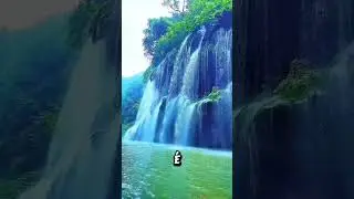 Como superar traumas