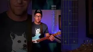🎸What is 