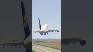 Cow Accidently Came During Airplane Landing gta v