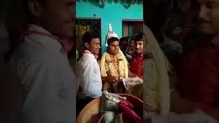 The groom went to  to catch mango in wedding night