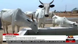 A Look at Milestones Achieved in the Livestock Development Ministry | NTA
