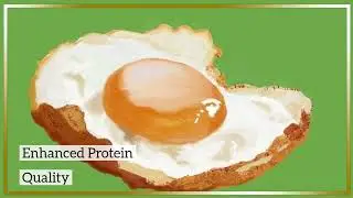 The Benefits of Eating Sprouted Grains