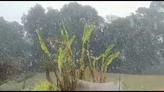 @snow in slow mation!🌨️ In Almora (uttarakhand)