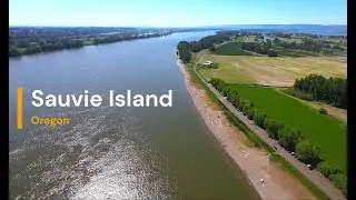 Aerial Exploration of Sauvie Island's Breathtaking Scenery Along the Columbia River, Oregon