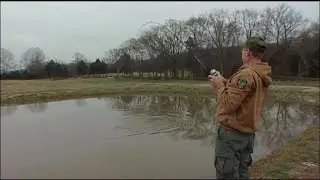 TN Wild Side-Small Pond Catfish