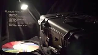 1. SONY FS-700
