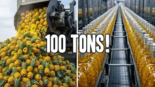 Inside a $100 Million Pineapple Wine Factory! 🍍🍷