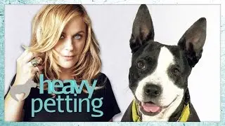 Heavy Petting w/ AMY POEHLER (ASPCA Dog Adoption)