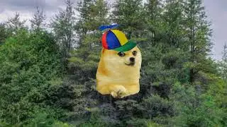 RIP baby doge