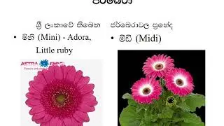 landsLandscaping presentation for biosystem technology