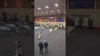 Gelders kampioenschap vendelen indoor 2025. Aspiranten, Gilde St Jan babberich