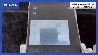 CORTEX DECODERを使用した反射面でのスキャン