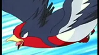 Pokemon Face-Off: Buizel vs. Swellow (redone)!