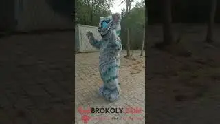 REDBROKOLY.COM Mascot Costume - Cute big cat with smile full body mascot costume for adult