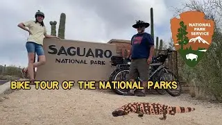 Bike tour to Saguaro National Park