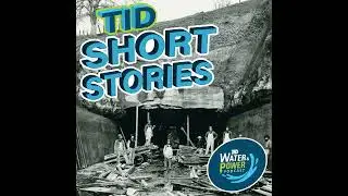 Energy Crisis and Becoming a Balancing Authority in the 2000s - TID Short Stories