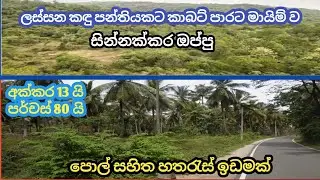 ලස්සන කඳු පන්තියකට මායිම් උන හතරැස් ඉඩමක් Lassana Lanka property 