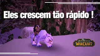 Como conseguir as montarias Venomhide Ravasaur e Winterspring Frostsaber