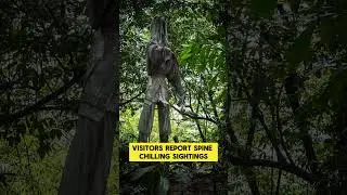 Echoes of Torture with The Haunting of Penang War Museum #history #warcrime