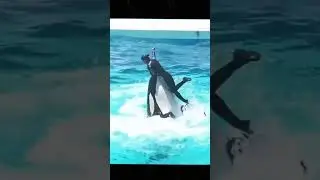 The Truth About Jessica Radcliffe and the Killer Whale Attack 😱🐋
