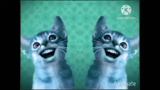 Preview 2 Numa Cat Effects In CoNfUsIoN