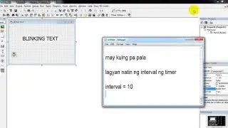 FLOTECH TUTORIAL: Blinking Text (VB6.0)