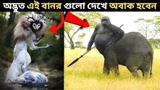 বিশ্বের সবচেয়ে অন্যতম বানর  | Rarest Monkeys in The World | Most Amazing Monkeys | Part 1