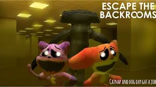 Catnap and dogday get a job : escape the backrooms Episode 1￼ !￼not Canon!￼